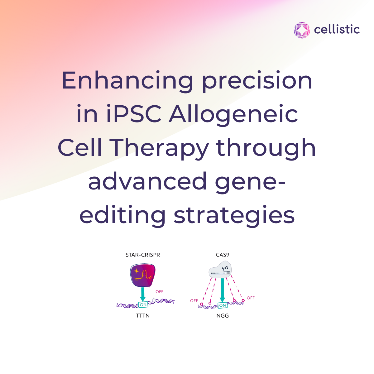 Enhancing precision in iPSC Allogeneic Cell Therapy through advanced gene-editing strategies