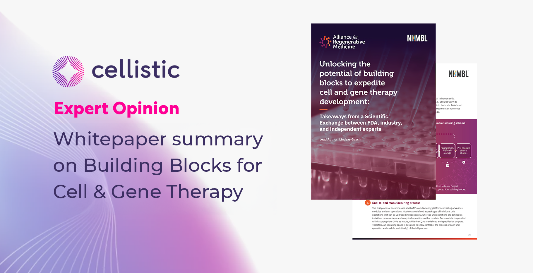 Summary of the Whitepaper on Building Blocks for Cell & Gene Therapy (CGT)